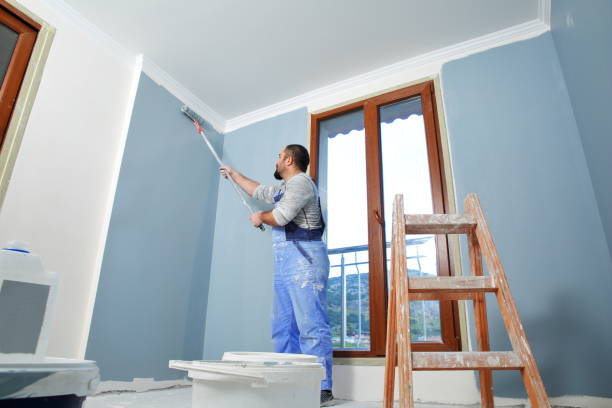 Best Faux Finishing and Decorative Painting  in Fairmont, MN