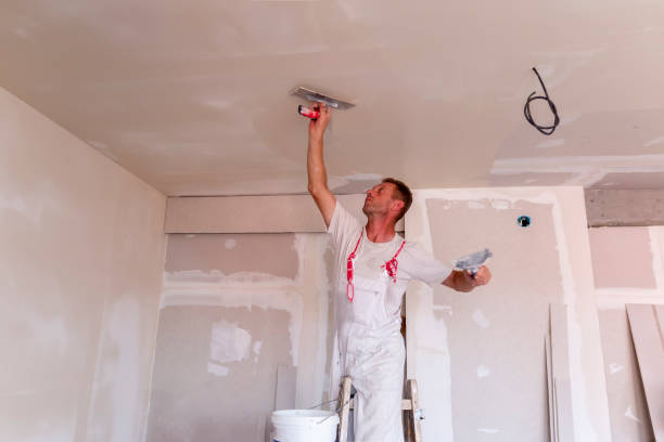 Eco-Friendly and Low-VOC Painting in Fairmont, MN